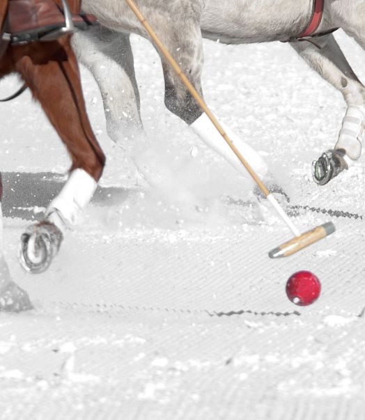 snow-polo-3