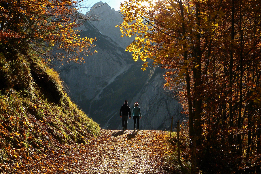 wanderbarer-altweibersommer-2025